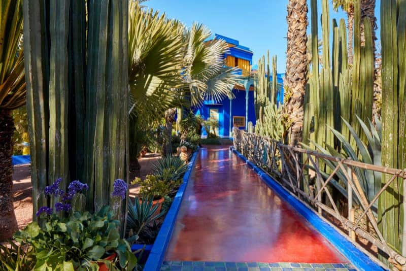 MAJORELLE